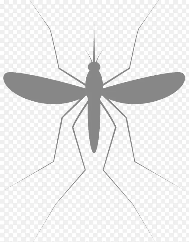 ���� ��ʲ���� ��ͯ-������