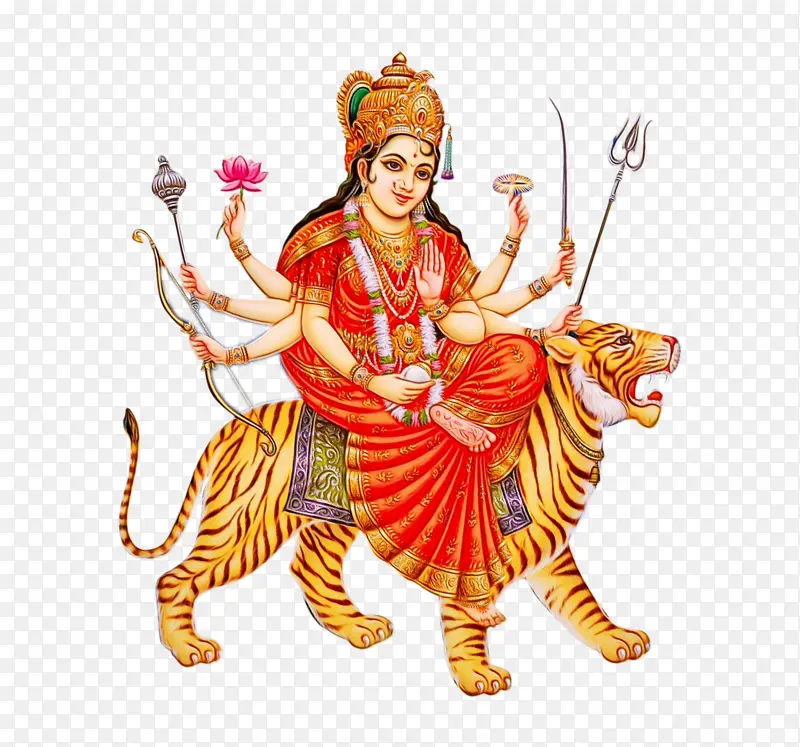 ���� ��Ƶ ��������-������