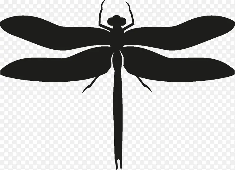 ���� ��Ӱ ����-������