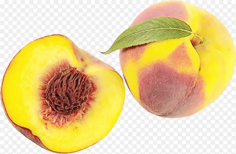 ʳƷ ����ʳƷ ��ȻʳƷ-������