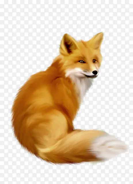 ���� ��� ����-������