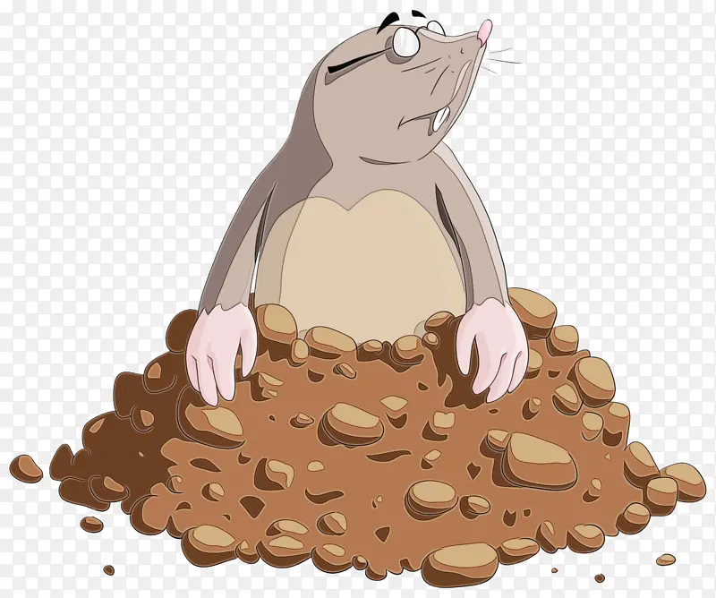 ���� ��ͨ ����-������