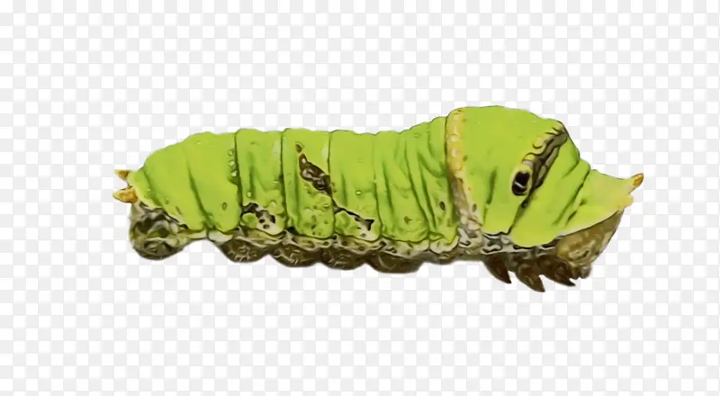 ������ ë�� ����-������