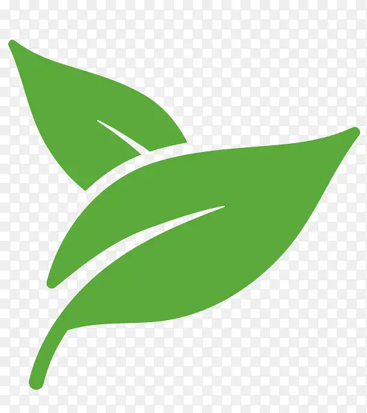 ���� ��ɫ Ҷ��-������