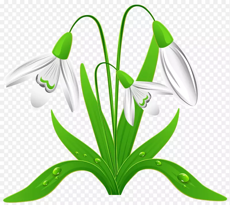 ������ѩ�ؼ�����-����-������