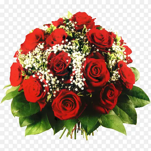 �� ���� ����-������