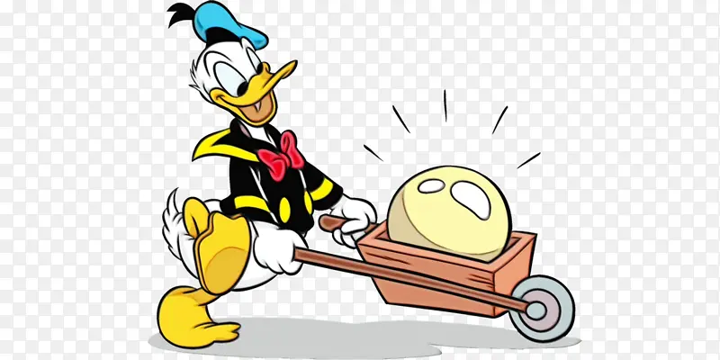 ��ɫ ���� ����-������