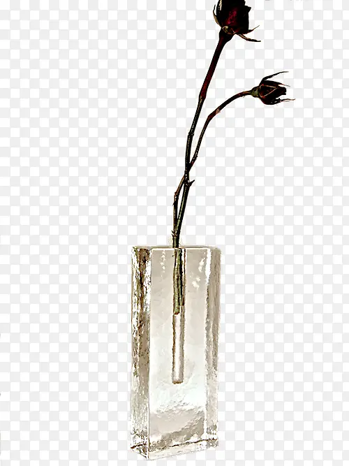 ��ƿ ֲ�� ��֦-������