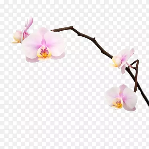 �ɶ�������-������