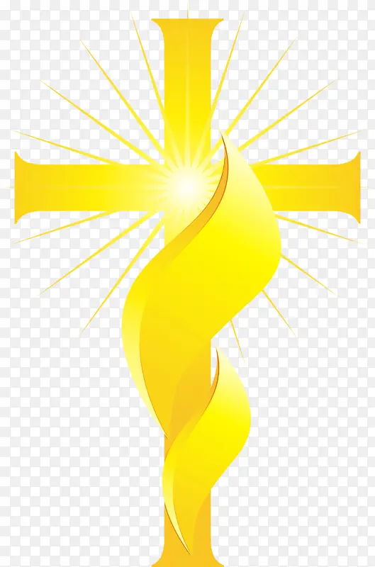 ���� ��ɫ-������