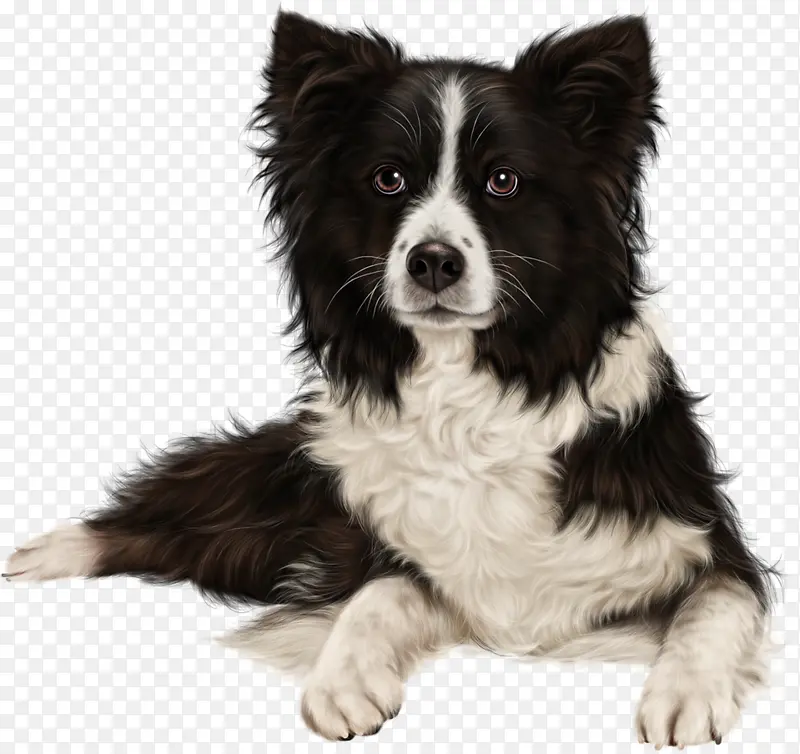 ������Ȯ �߾�����Ȯ С��-������