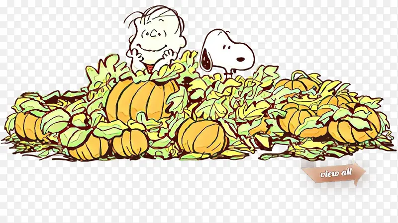 ���� ���� ��Ʒ-������