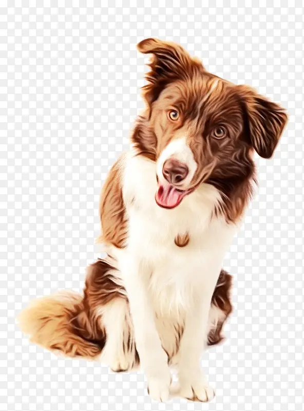 �߾�����Ȯ �ո�������Ȯ ������Ȯ-������