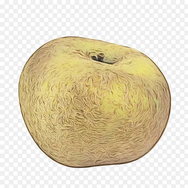 ƻ�� ˮ�� ֲ��-������