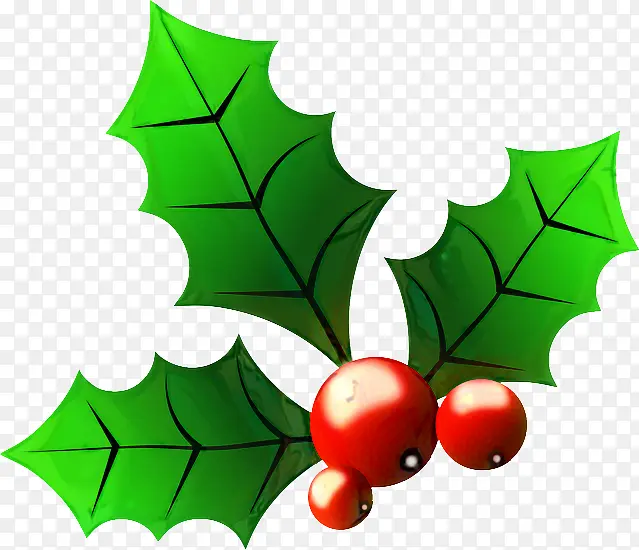 ʥ���� ����ʥ���� ��ͨ����-������