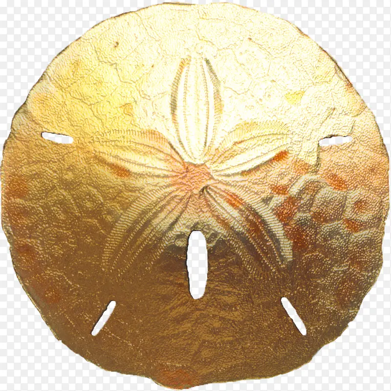 ��Ԫ ��� Ӳ��-������