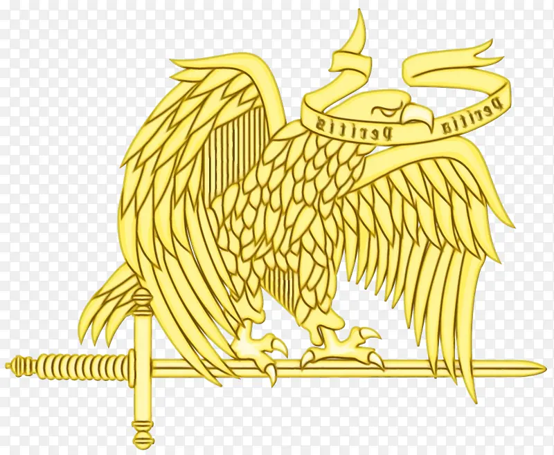 ���� ��ͨ �ƽ�-������