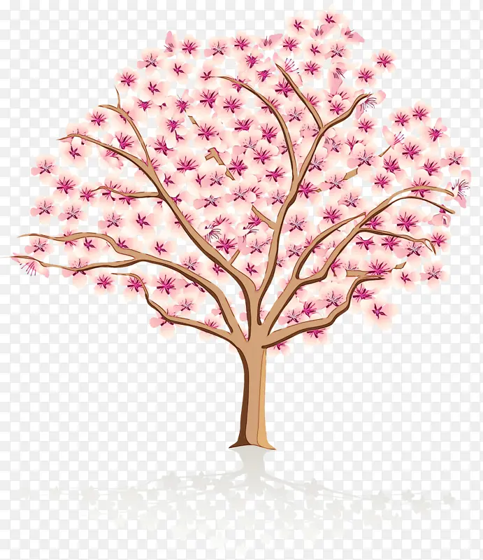 �� ����-������