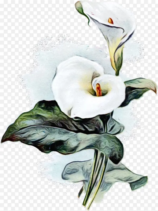 ��³ķ�� ����³ķ �滭-������