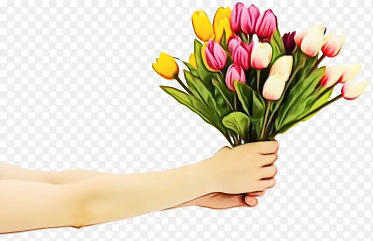 ����-������