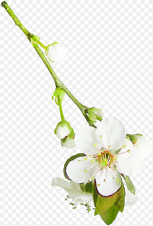 ���� ������� ����-������