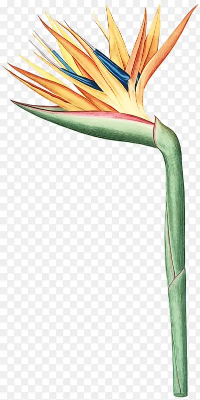 ˮ�ʻ� �滭 ������-������