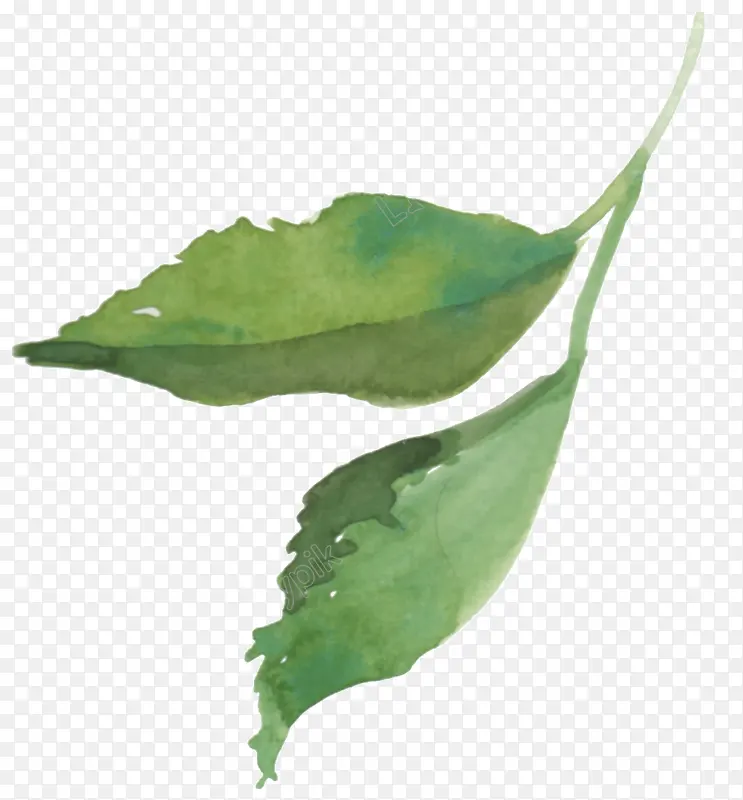 Ҷ�� ˮ�ʻ� �ͻ�-������