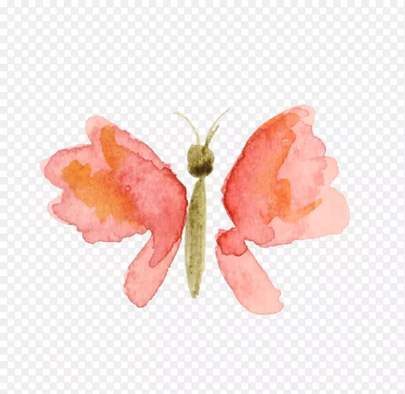 ����ˮ�ʻ�ƽ����Ƽ�����ˮ�ʻ�����-������