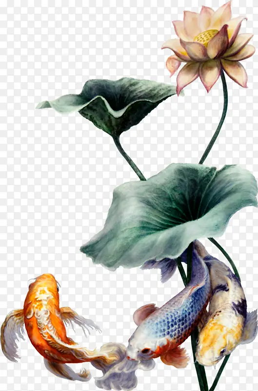 ˮ�ʻ� ���� �滭-������