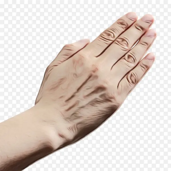 Ĵָ ��ģ�� ����-������