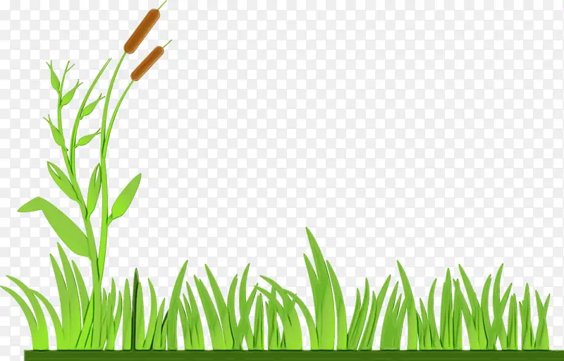 ��ƺ ��ݻ� ��ͼ-������