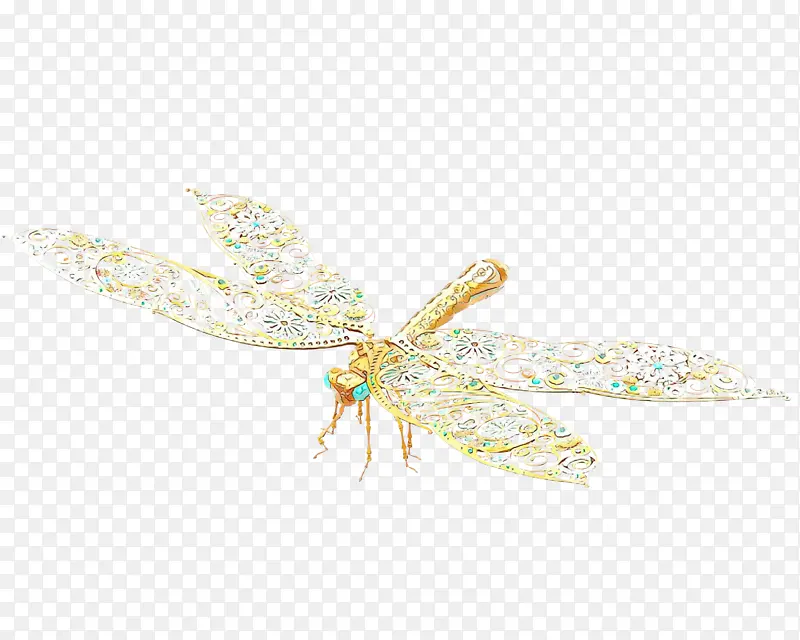 ���� ���� ��Ĥ-������