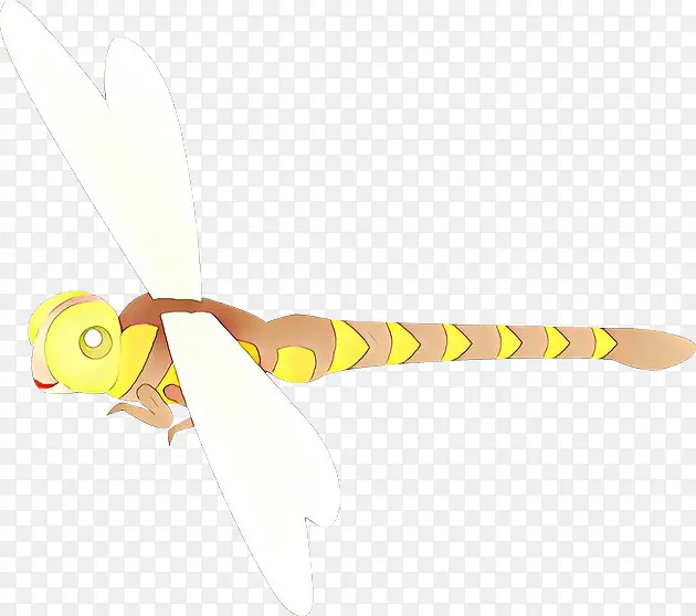 ���� ���� ��ɫ-������