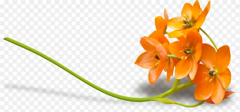 �� ���� ����-������