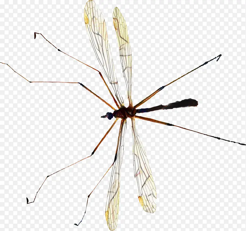 ���� ���� ����-������