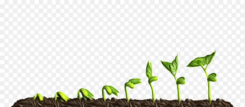 ֲ�� ���� ��ѿ-������