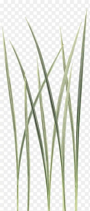 �ɹ���Ʒ��� ����� ��Ʒ-������