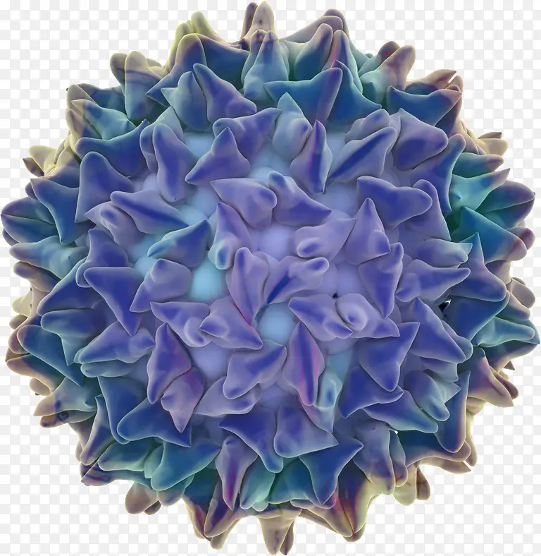 �л� ���� �Ĵ�����-������