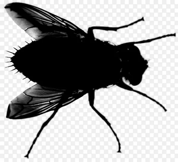 ���� ������ ��Ӱ-������