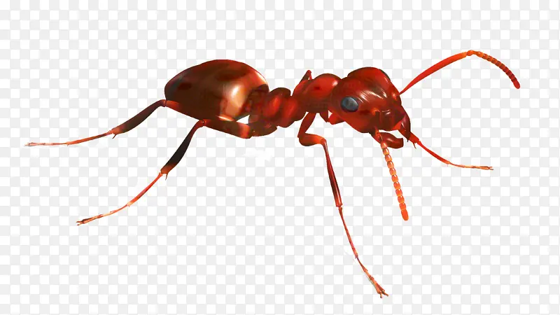 ���� ���� ����-������