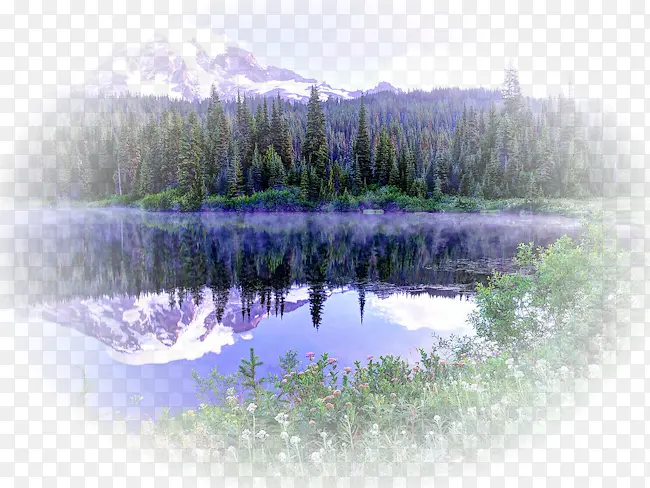 �����ɽ ���ҹ�԰ ��԰-������