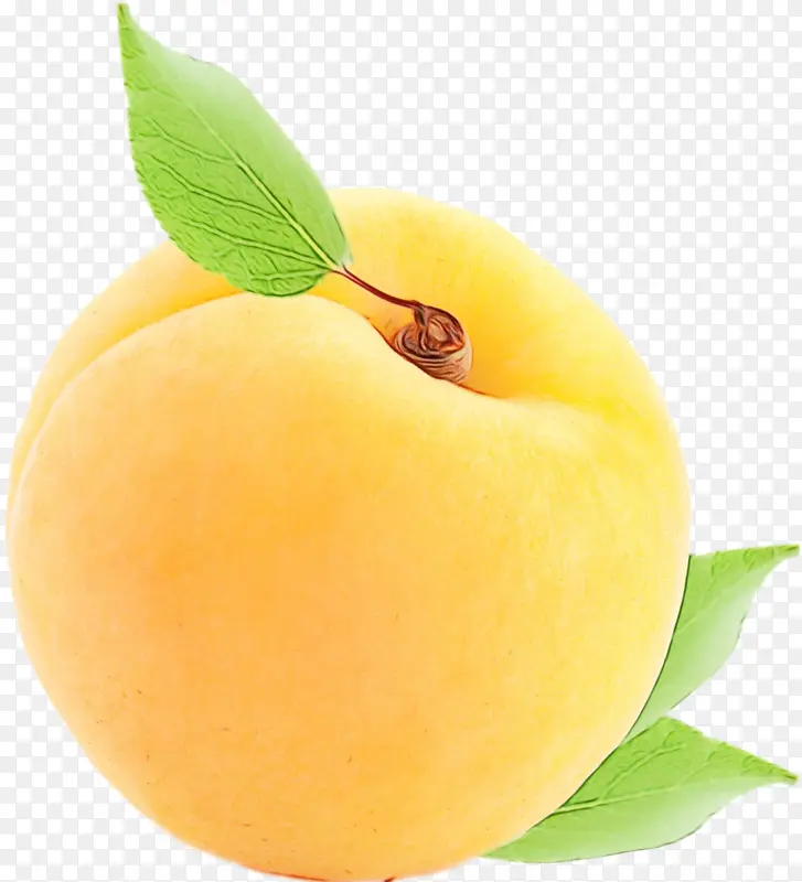 ʳƷ ����ʳƷ ��ȻʳƷ-������