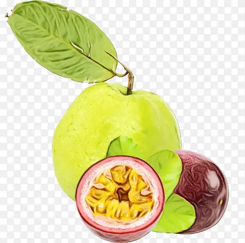 ʳƷ ����ʳƷ ��ʳʳƷ-������