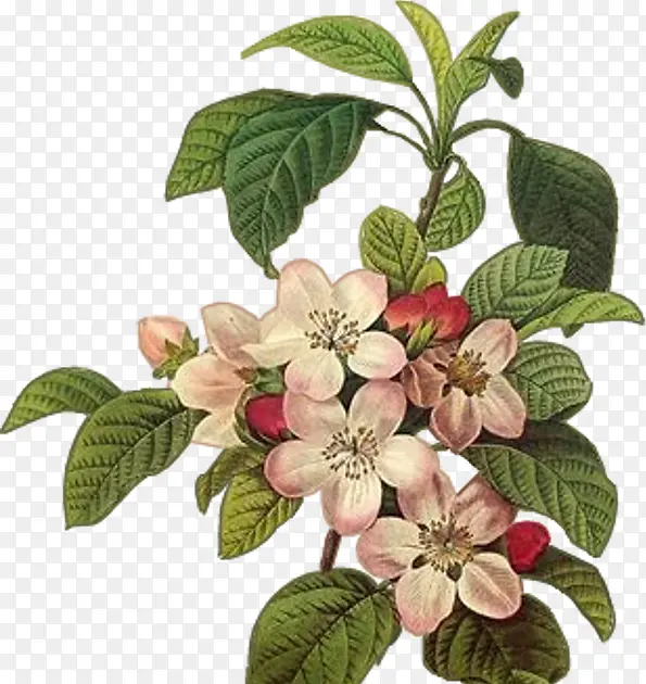 �ʻ� ˮ�� ����-������