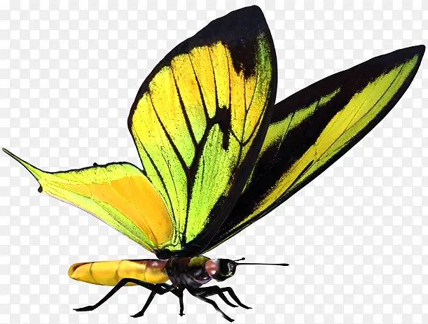 �ɶ�ͺ��� ���� ����-������