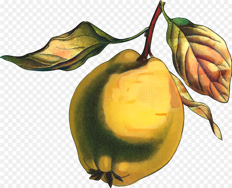 �� ʳƷ ����ʳƷ-������