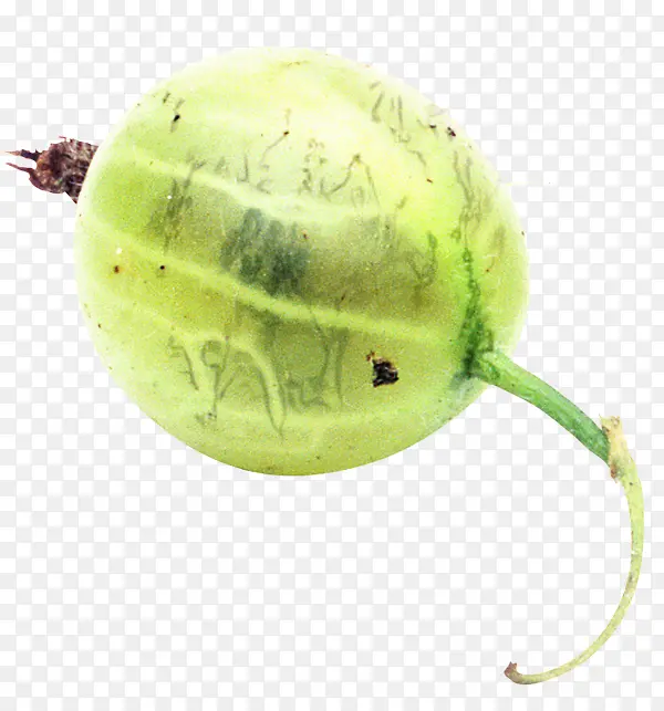 ��ɫ ֲ�� �߲�-������