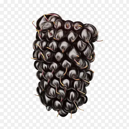 ˮ�� ֲ��-������