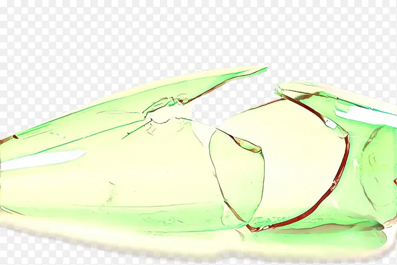 Ҷ�� ���� ֲ��-������