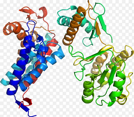 �����鱦 ���� �鱦-������